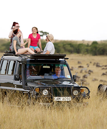 masai ite-03 salt lick tour image